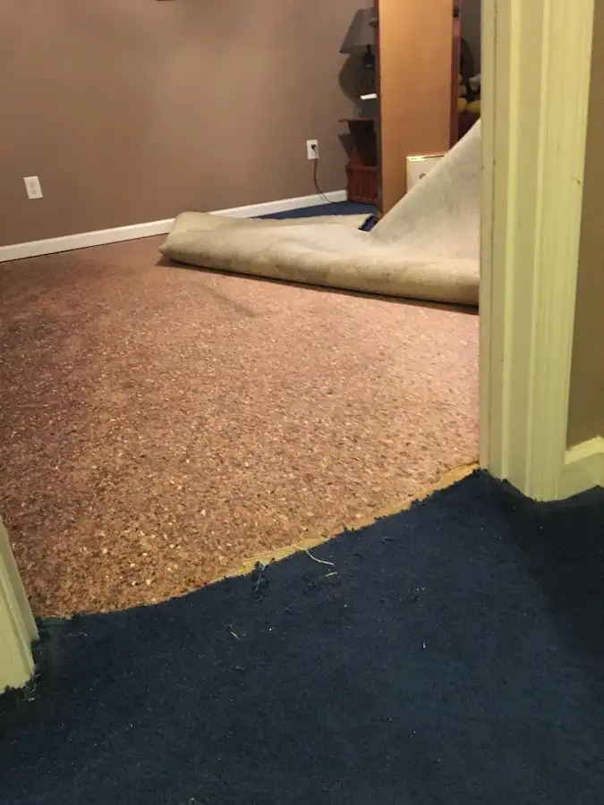 Carpet pad removal revealing water damage during Drying & Dehumidification in Carl Junction