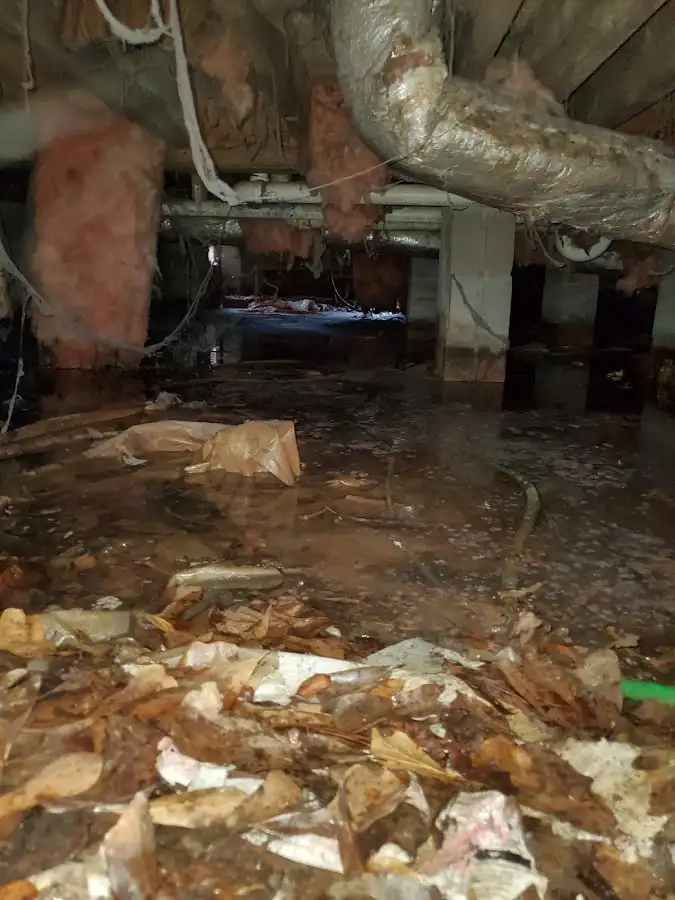 Crawl space flood assessment for Commercial Water Damage Restoration in Carl Junction