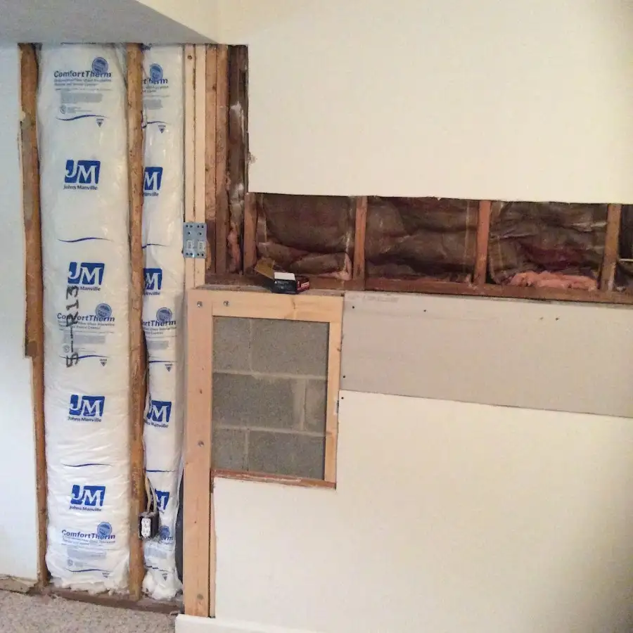 Wall insulation replacement during Odor Removal & Deodorization in Carl Junction